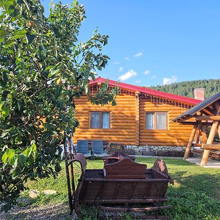 Cabana Alesia, Relaxare La Poalele Raraului Campulung Moldovenesc Exterior photo