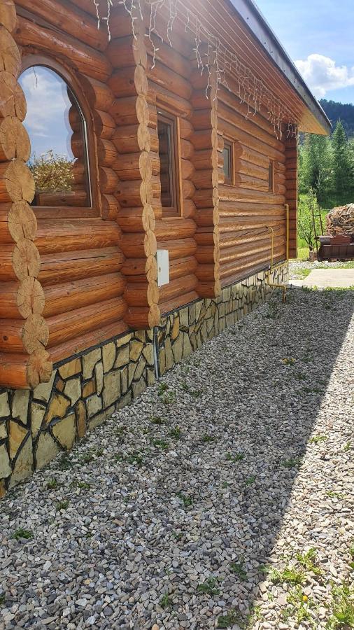 Cabana Alesia, Relaxare La Poalele Raraului Campulung Moldovenesc Exterior photo