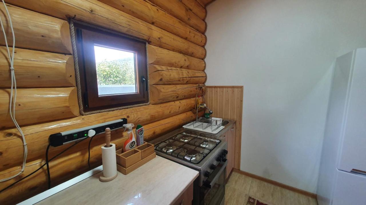 Cabana Alesia, Relaxare La Poalele Raraului Campulung Moldovenesc Exterior photo