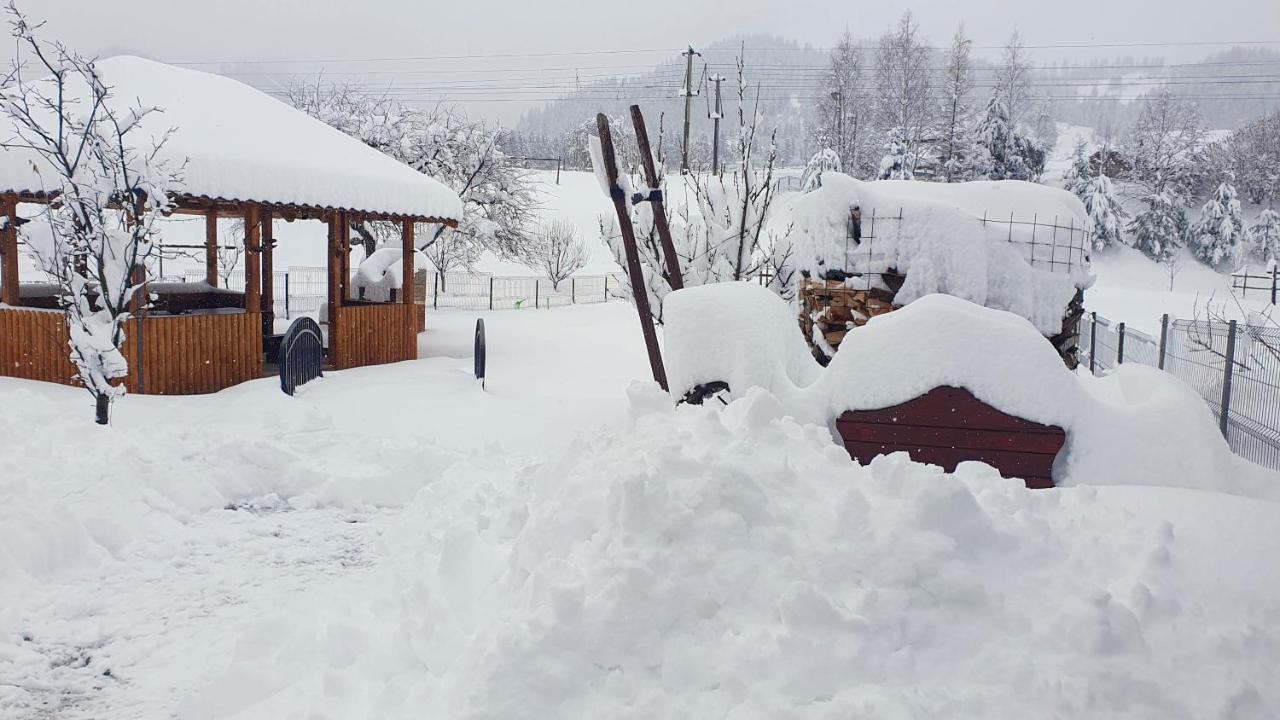 Cabana Alesia, Relaxare La Poalele Raraului Campulung Moldovenesc Exterior photo