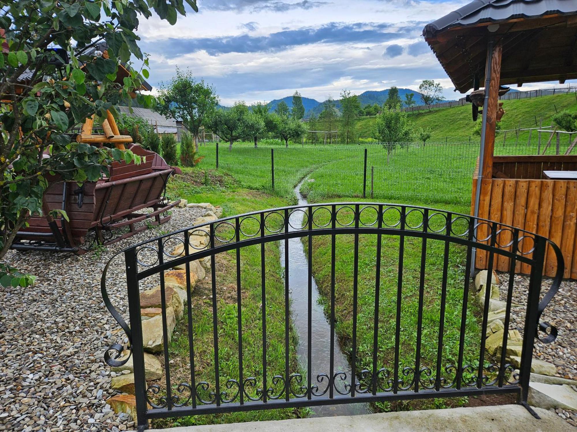 Cabana Alesia, Relaxare La Poalele Raraului Campulung Moldovenesc Exterior photo